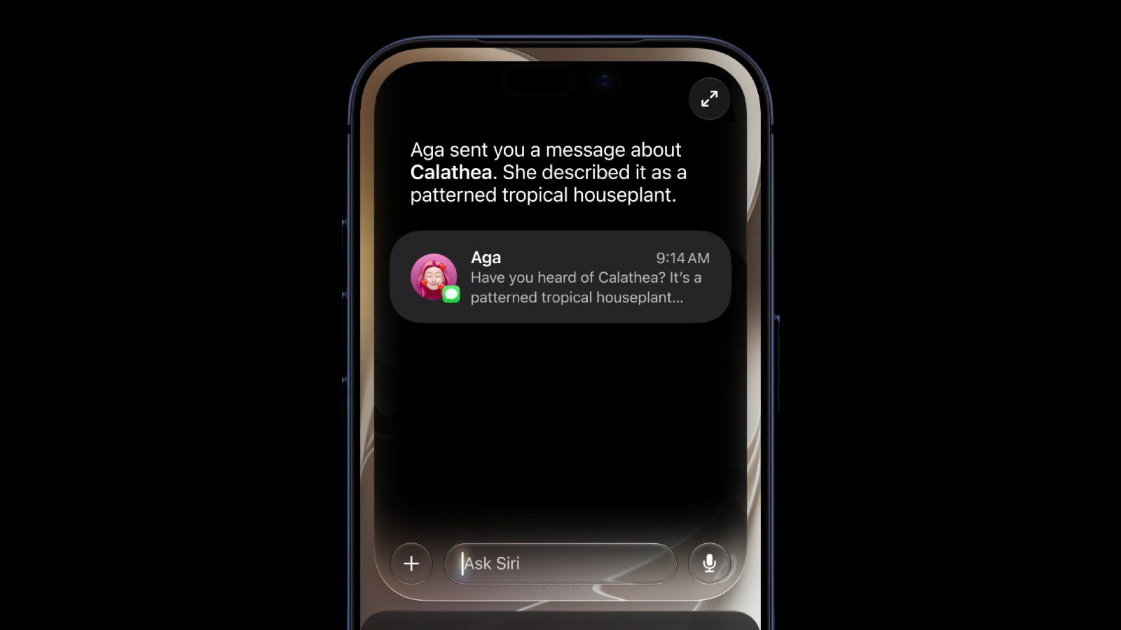 苹果高管解释为何转向独立 Siri 聊天应用