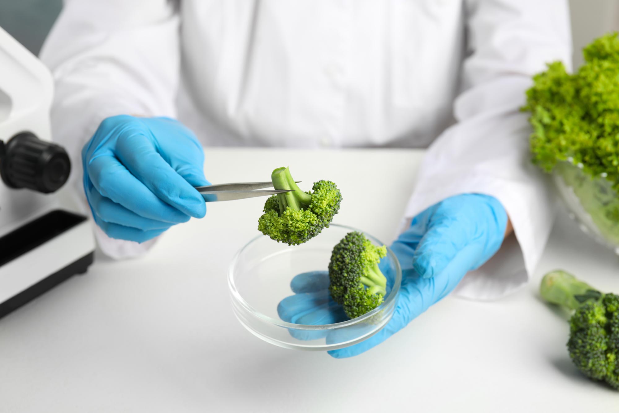 西兰花天然化合物有望治疗罕见且无法治愈的神经系统疾病